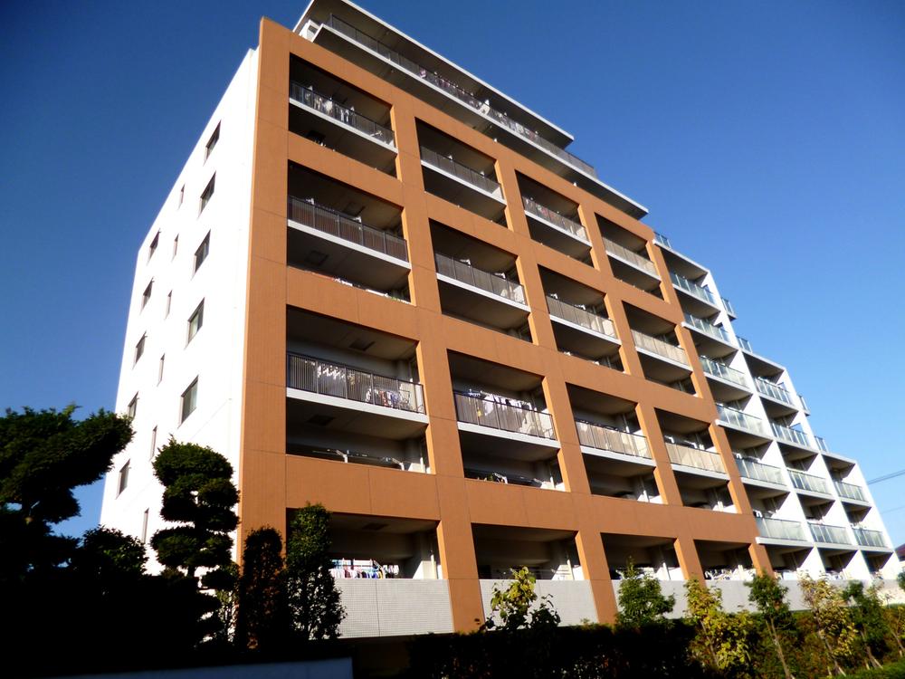 Local appearance photo