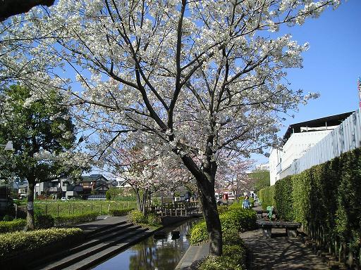 park. 453m until Rokutsuji waterfront park