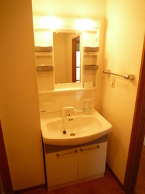 Washroom. Bathroom Vanity