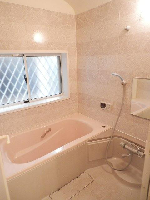 Bathroom. Indoor (10 May 2013) Shooting