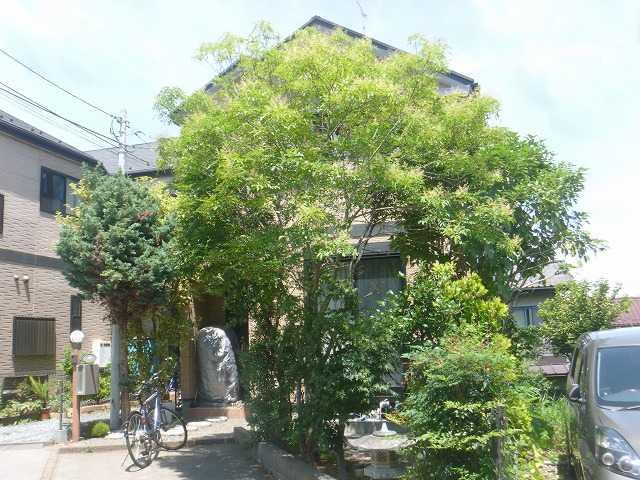 Garden. ◆ Nantei. Local (August 2013) Shooting