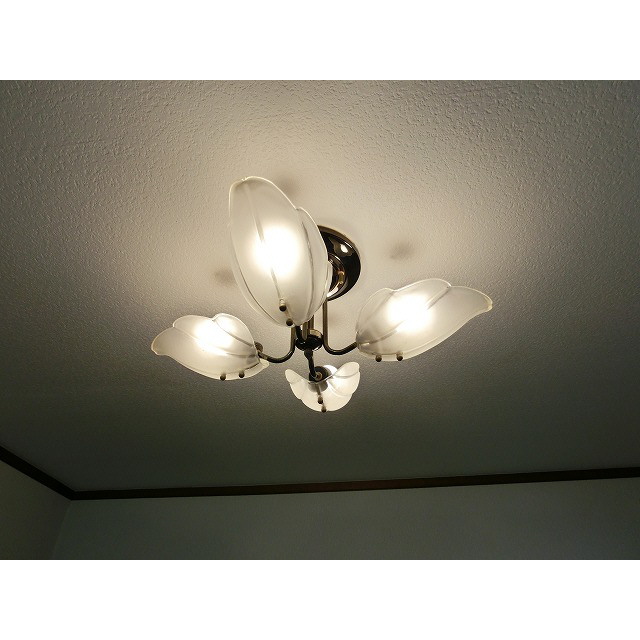 Other. illumination