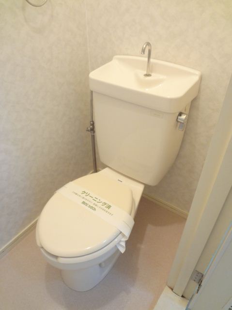 Toilet. Toilet with cleanliness