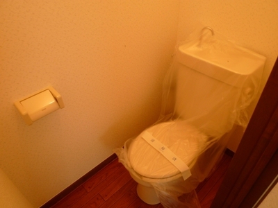 Toilet. Western-style flush toilet