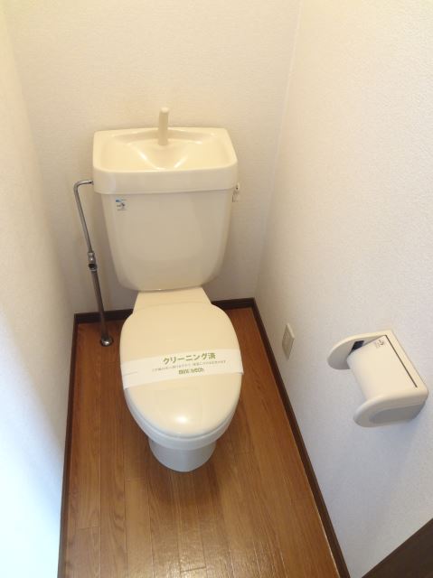 Toilet. It is a toilet with a clean. 