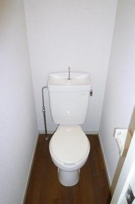 Toilet. Western-style flush toilet