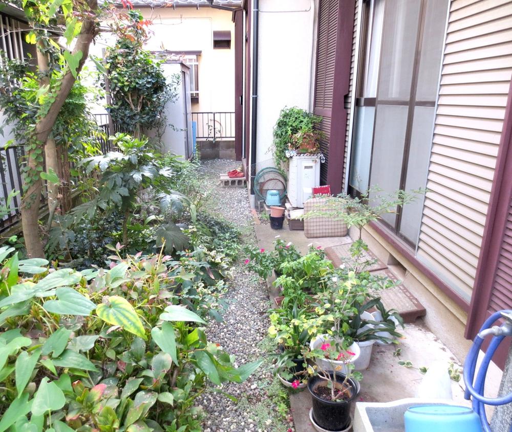 Garden. Local (11 May 2013) Shooting