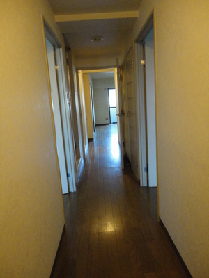 Entrance. 206, Room interior reference photograph