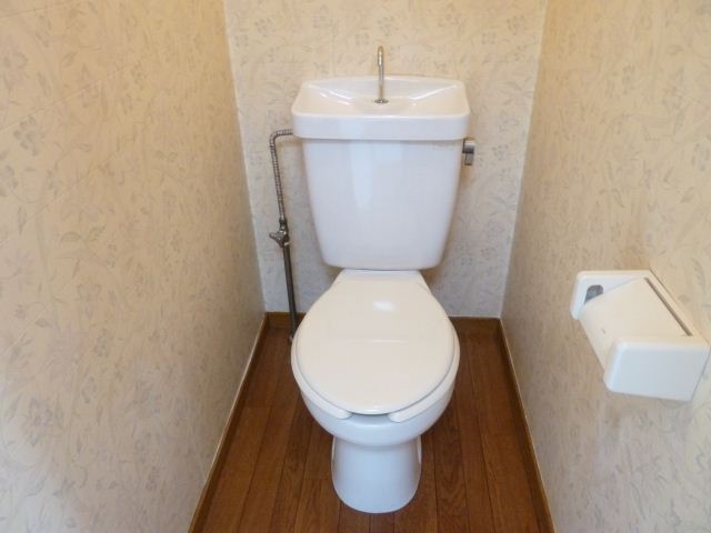 Toilet. It white is dazzling