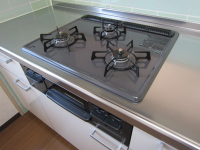 Kitchen. Guests can enjoy fish dishes with a grill