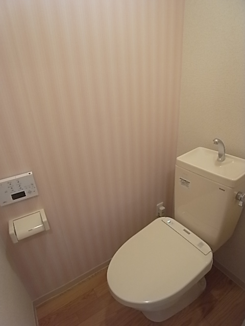 Toilet. With cleaning toilet seat