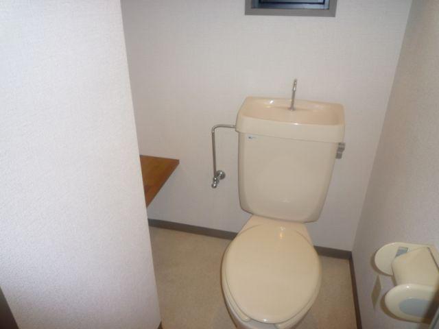 Toilet. It also attached shelf in toilet.