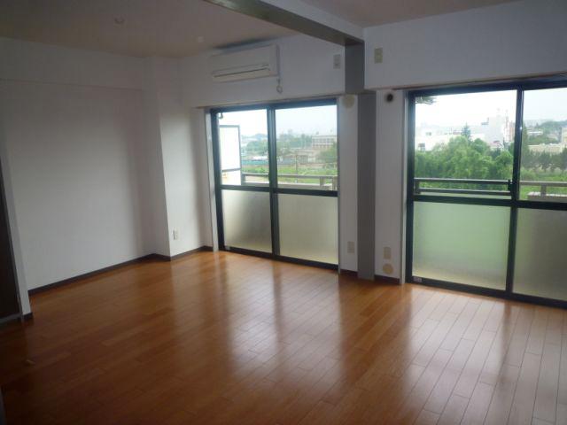 Living and room. Beautiful flooring.