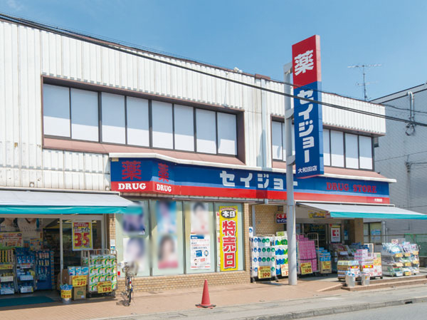 Surrounding environment. Medicine Seijo Owada store (3-minute walk ・ About 240m)