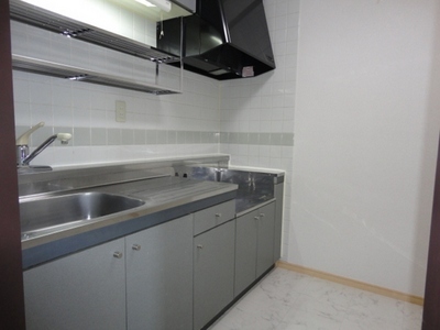 Kitchen. Gas stove installation Allowed