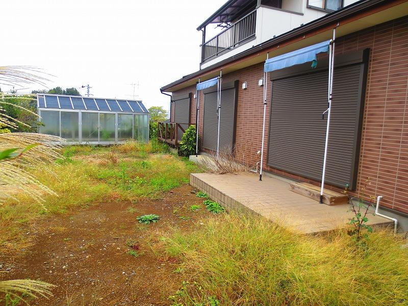 Garden. Local (11 May 2013) Shooting