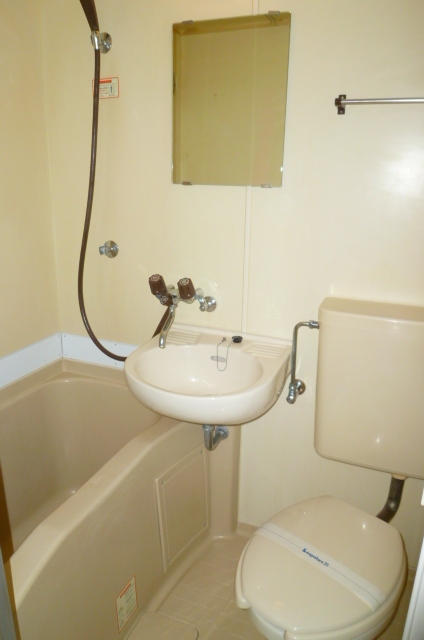 Bath. Western-style flush toilet