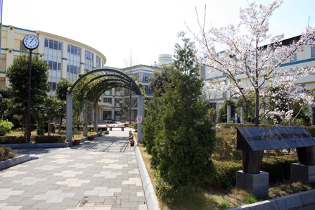 Junior high school. 1537m until the Saitama Municipal Haruno junior high school (junior high school)