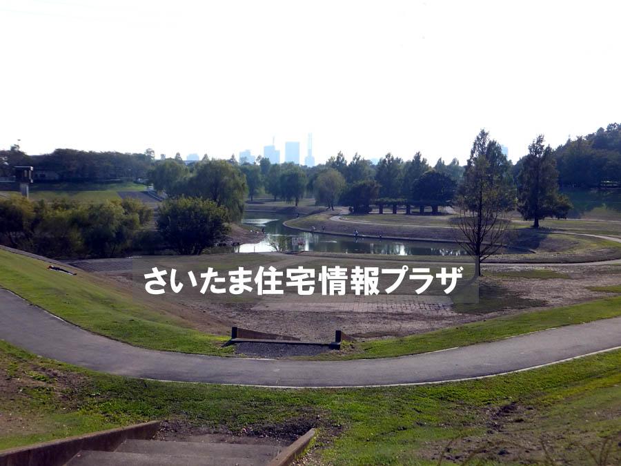Other. Owada park multi-purpose open space