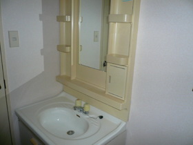 Washroom. With vanity