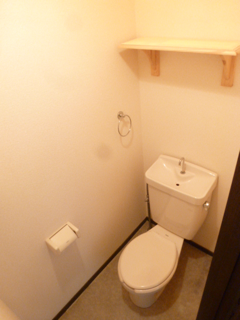 Toilet. Convenient toilet with a shelf
