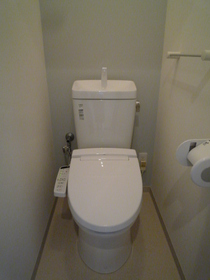 Toilet. Warm water washing toilet seat newly established