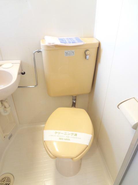 Toilet. It is very clean toilet.