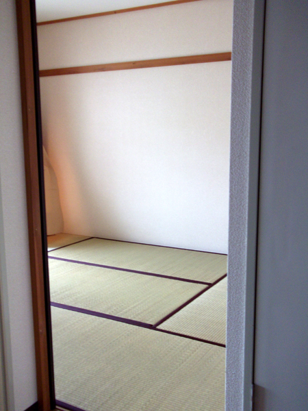 Other room space. Is a Japanese-style room