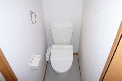 Toilet. Toilet with a comfortable warm water washing toilet seat
