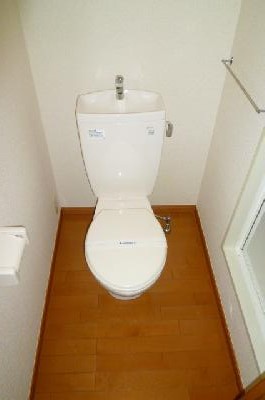 Toilet. Western-style flush toilet