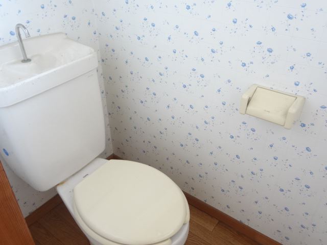Toilet. Calm wallpaper. 