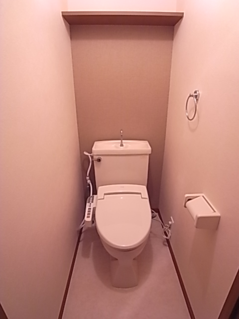 Toilet. It is with warm water washing toilet seat.