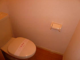 Toilet. Toilet space