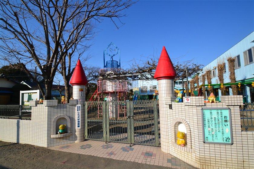 kindergarten ・ Nursery. Birch 750m to kindergarten
