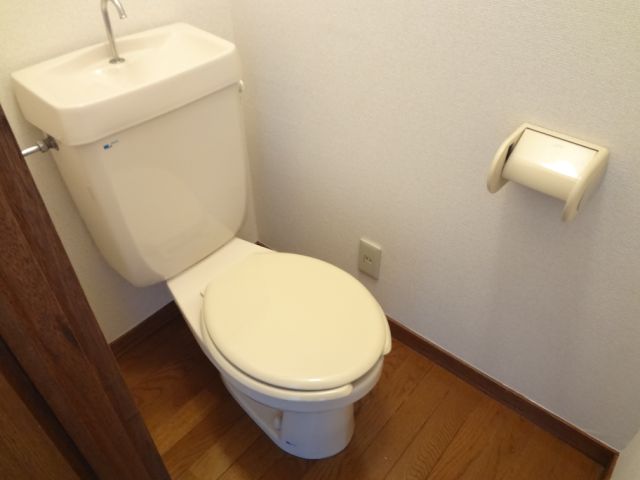 Toilet. Separate the bath toilet