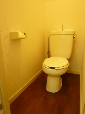 Toilet. Western-style flush toilet