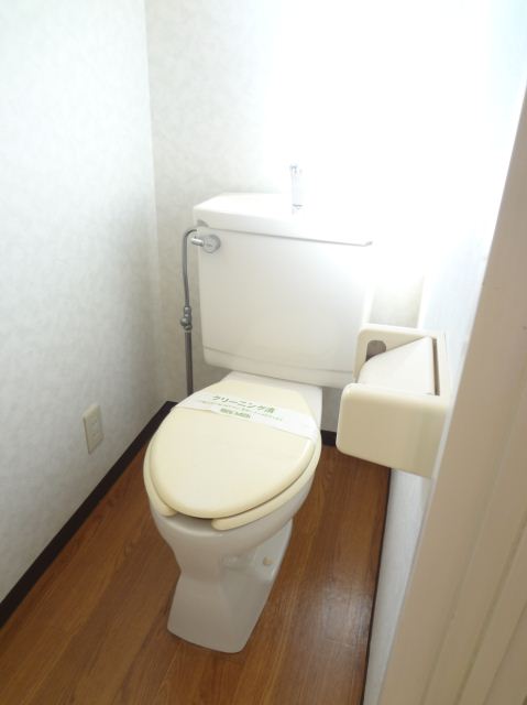 Toilet. Wide and clean toilet