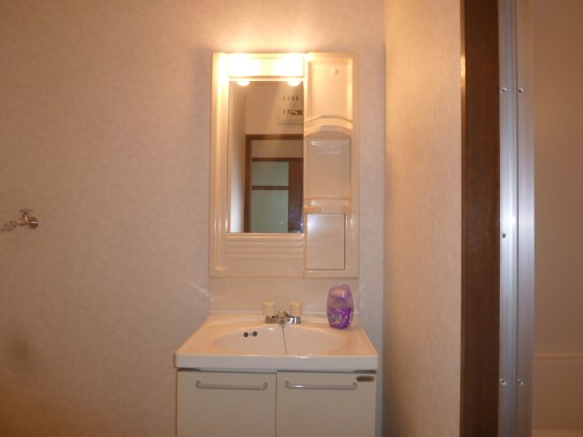 Washroom. Large washing machine and storage shelf also put spacious space