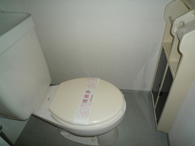 Toilet. Toilet with cleanliness