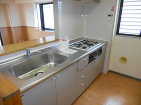 Kitchen. System kitchen