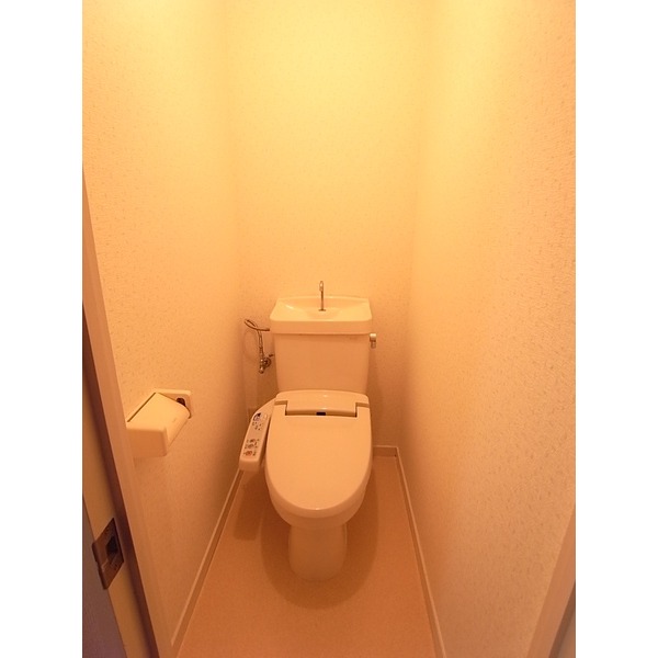 Toilet. With warm water washing toilet seat