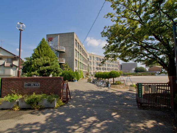 Primary school. Elementary school to 320m Saitama Municipal Island Elementary School