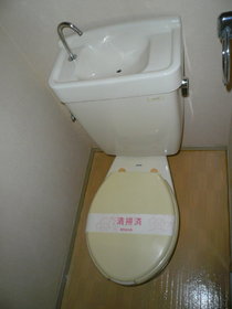 Toilet