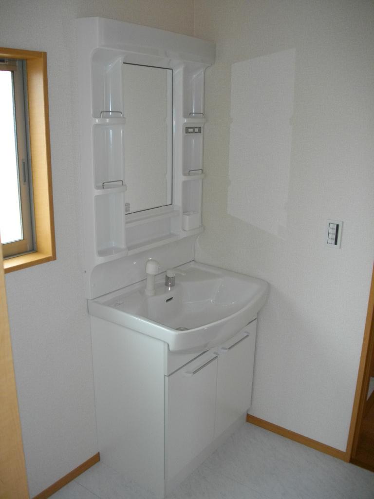 Wash basin, toilet. Vanity shower