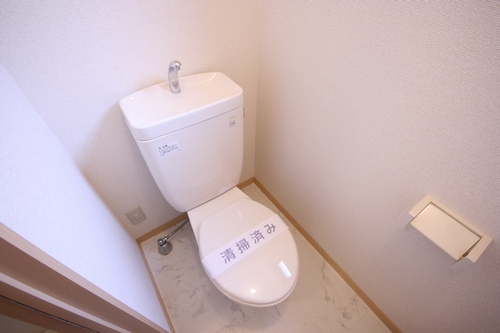 Toilet. There are storage shelves above! Convenient as paper storage location!