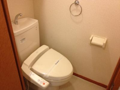 Toilet. Toilet with a comfortable warm water washing toilet seat
