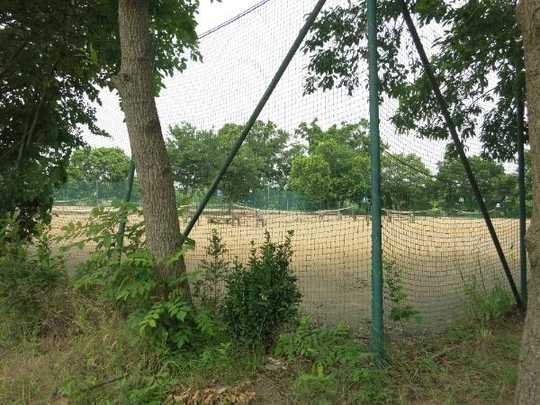 Local land photo. Is a paid tennis court about 200m from the property. 
