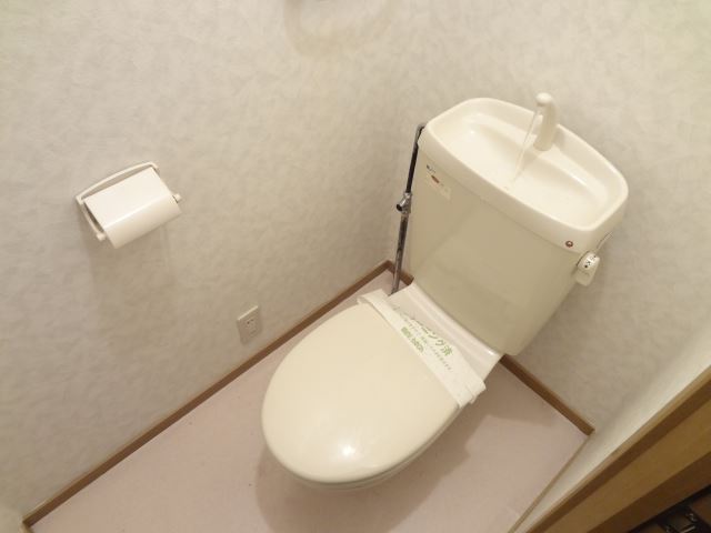 Toilet. It is a toilet with a clean.