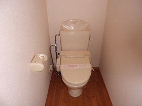 Toilet. It is with cleaning toilet seat.