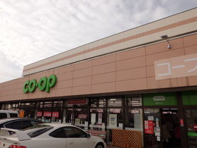 Supermarket. 710m to Saitama Co-op (super)